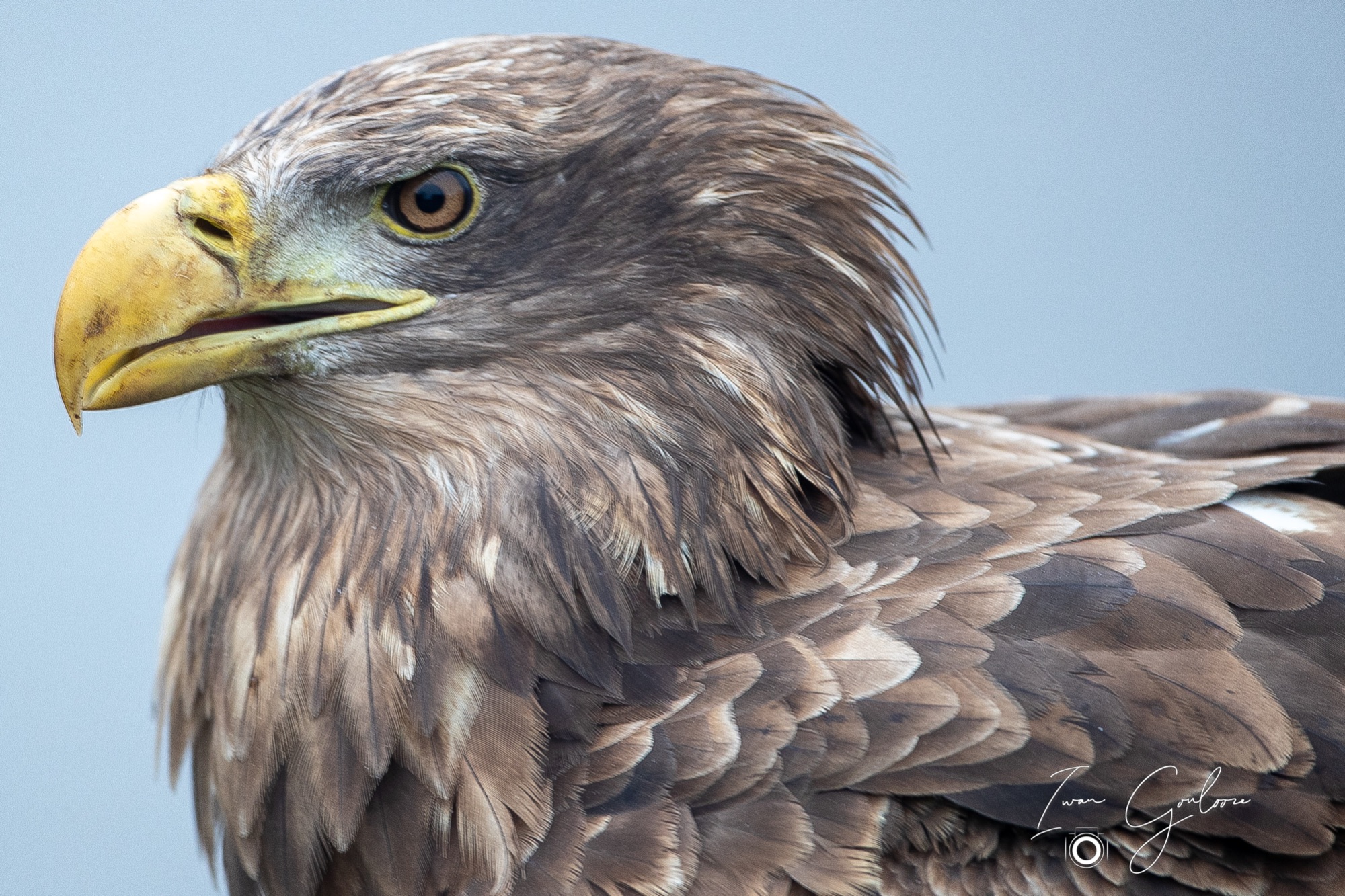 1DX46835 12 december 2021 1443 56